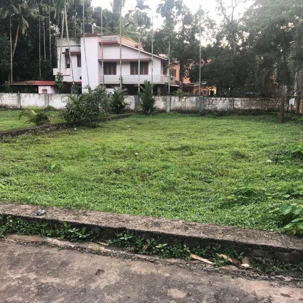 Residential Land/Plot in Infopark